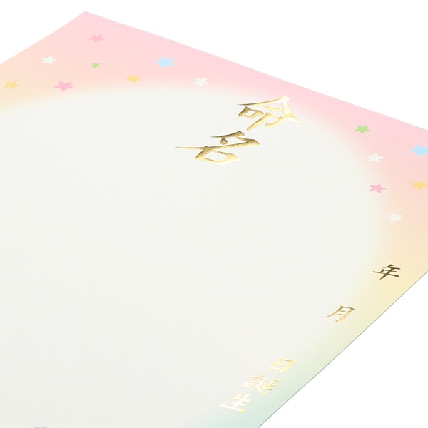 サンスター文具）命名紙 A3 2枚入り（ミッキー&フレンズ）