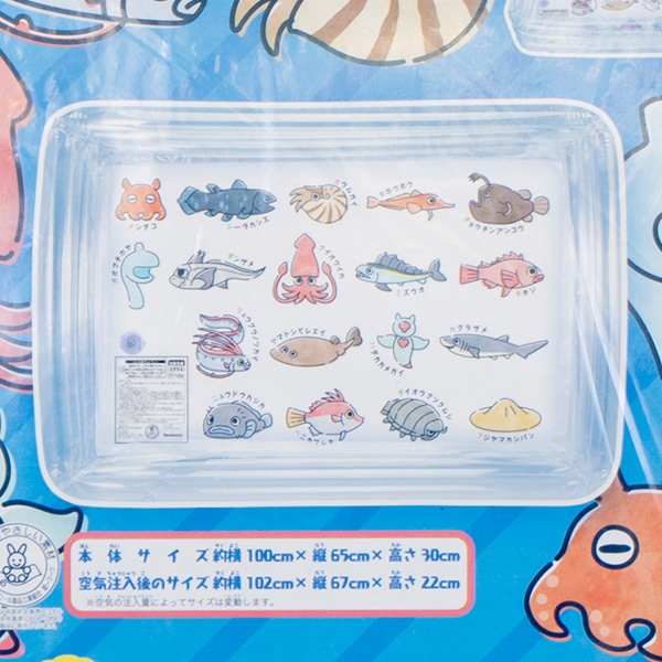長方形プール 100×65cm（深海魚）