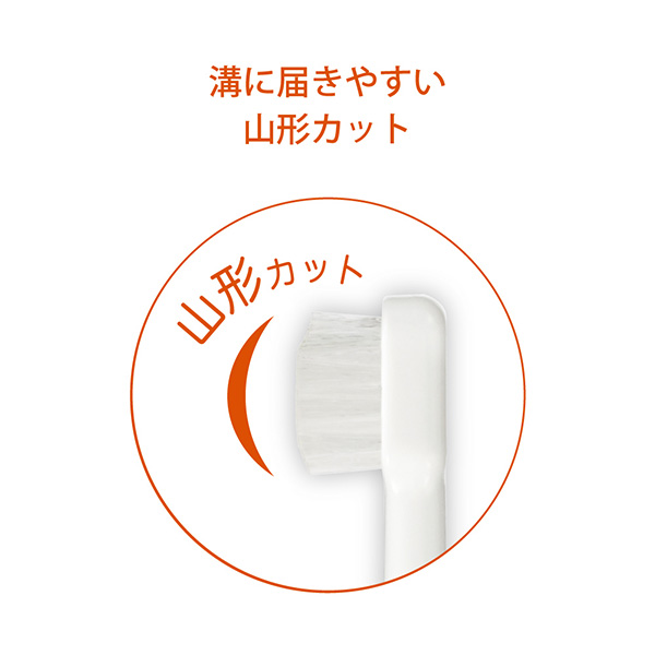 Combi）テテオ はじめて歯みがき 乳歯ブラシ STEP4
