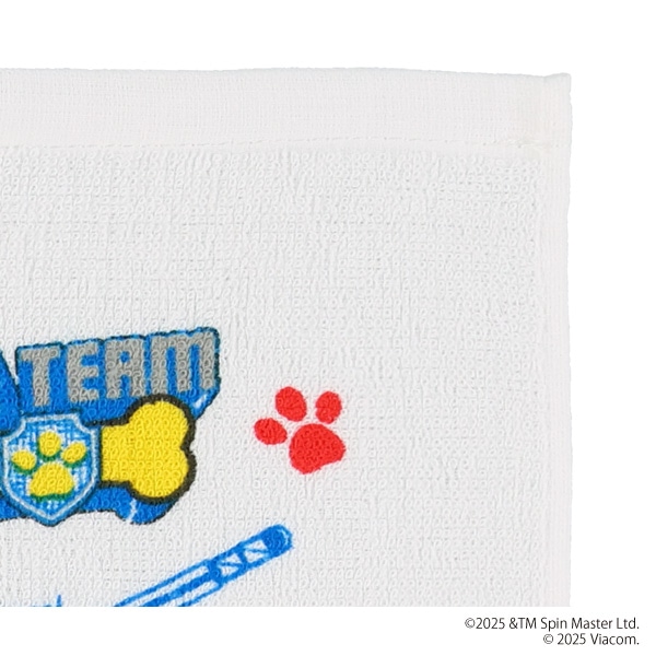 スケーター）おしぼりタオル 3枚セット（パウ・パトロール）