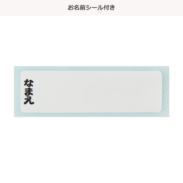 スケーター）直飲みワンタッチプラボトル 480ml（アナと雪の女王）