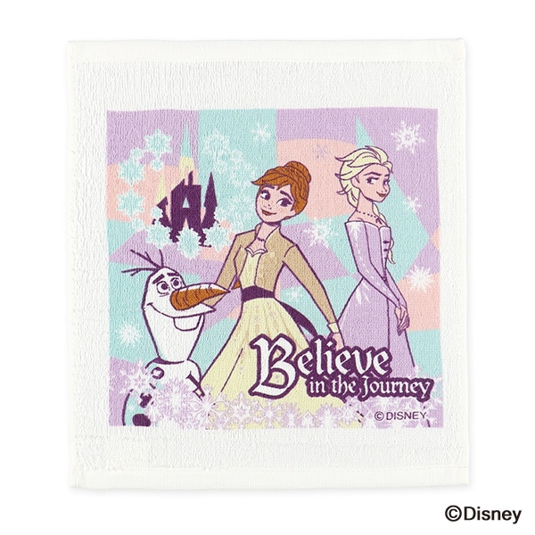 スケーター）おしぼりセット（アナと雪の女王）