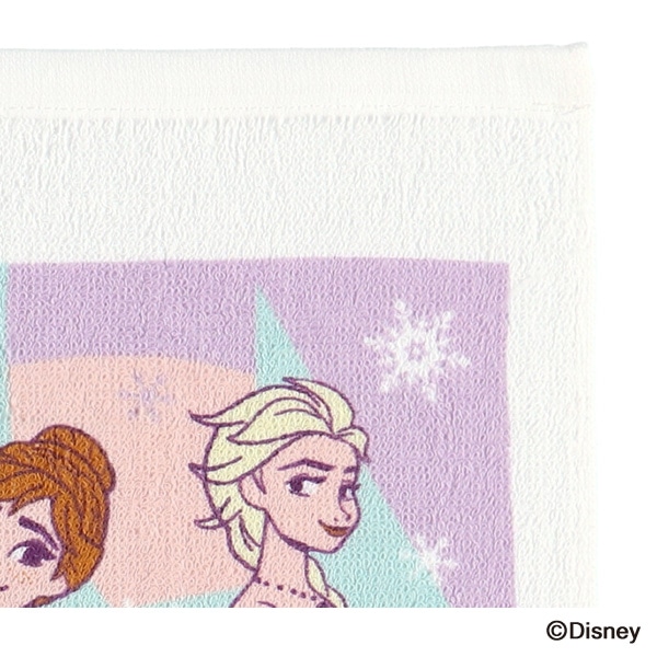 スケーター）おしぼりセット（アナと雪の女王）