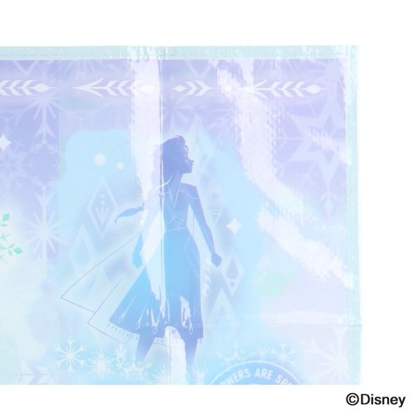 スケーター）レジャーシート 1人用（アナと雪の女王）