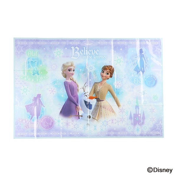 スケーター）レジャーシート 1人用（アナと雪の女王）