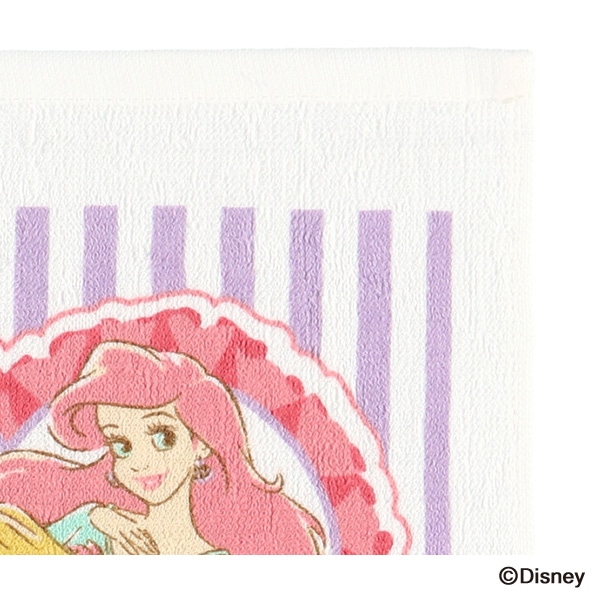スケーター）おしぼりセット（ディズニープリンセス）