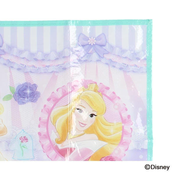 スケーター）レジャーシート 1人用（ディズニープリンセス）