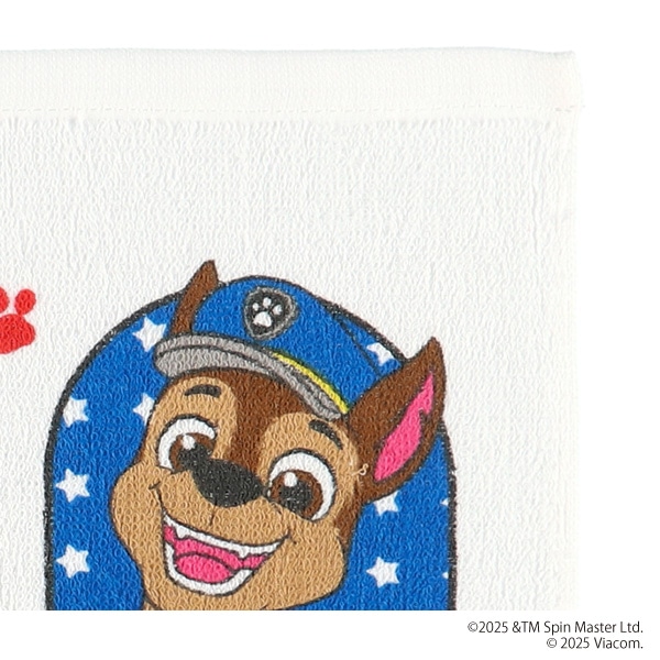 スケーター）おしぼりセット（パウパトロール）