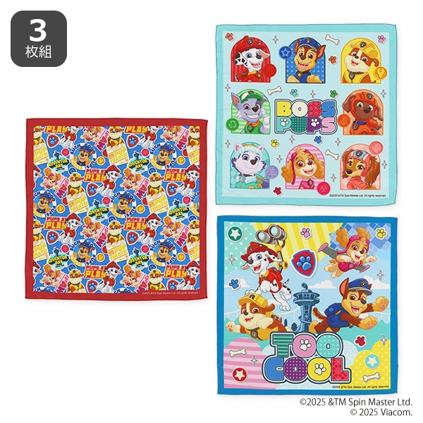 スケーター）3枚組ランチクロス（パウパトロール）