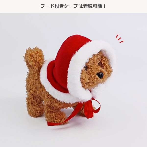 トコトコムービングドッグ