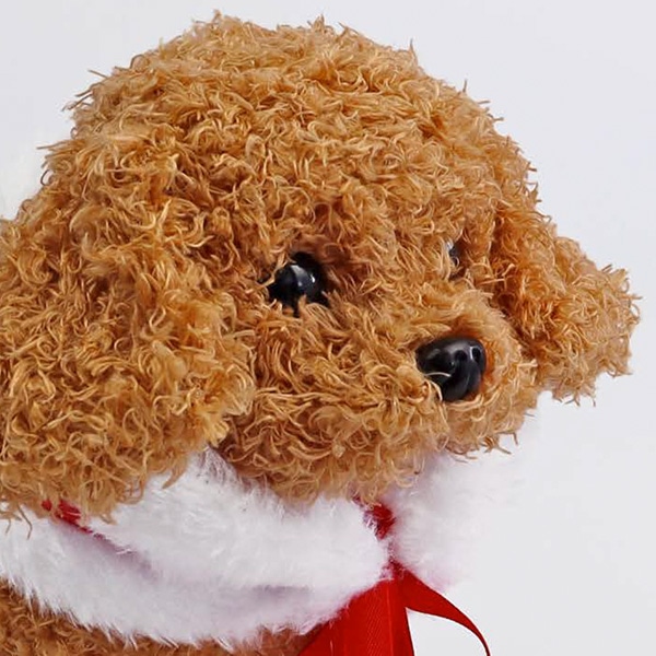 トコトコムービングドッグ