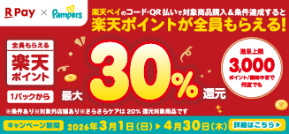 キャンペーン特設ページ