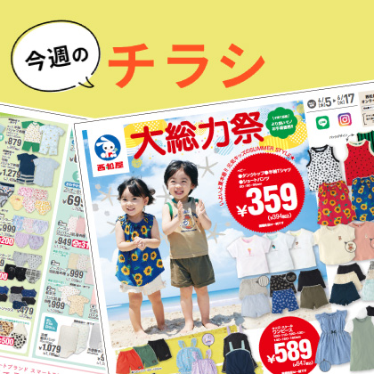 今週のチラシ